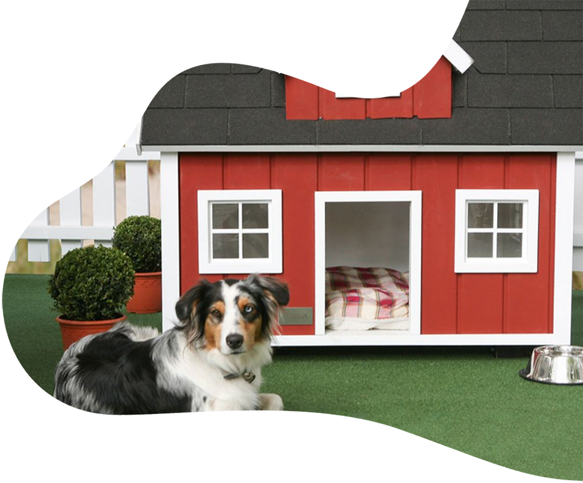 Boarding house for dogs near clearance me